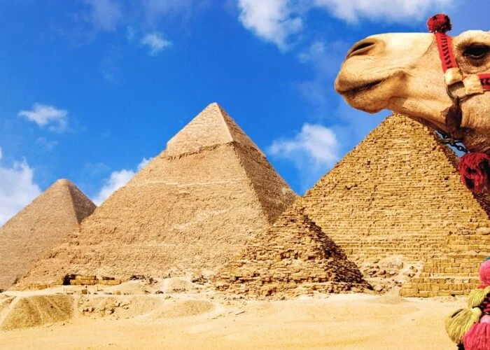 6 Nights in Egypt