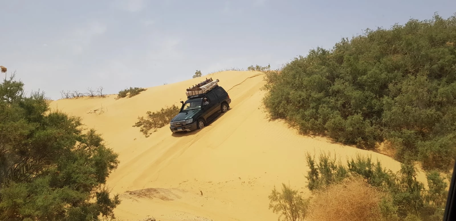 Cairo to Marsa Alam in 15 Days – Egypt’s Best Tour